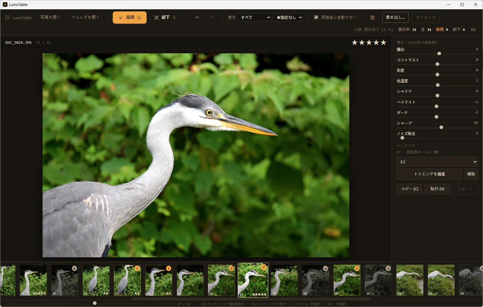 LumoTableの画面。野鳥の連写から、採用した写真に琥珀色のチェックが付き、ピントの外れた写真は却下されて沈んでいる。